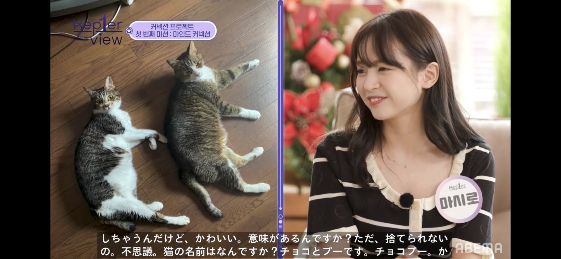 kep1er マシロ　トレカ　本国ペンミ　フーディ　猫耳　madein Kep1er マシロ トレカ MADEIN - メルカリ