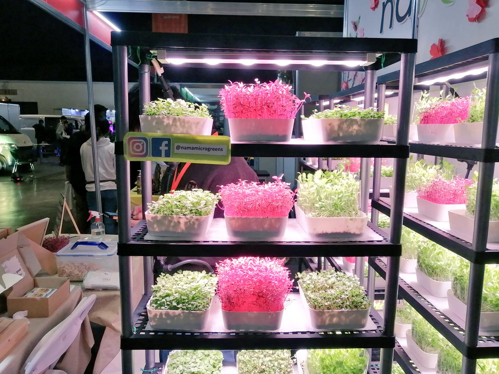 EWolf620's tweet photo. #WOFEX Day 3, let's gooo!! 💪🌱
#namamicrogreens #agriculture #urbanfarming #WOFEX2022 https://t.co/Eo1NvAjnD2