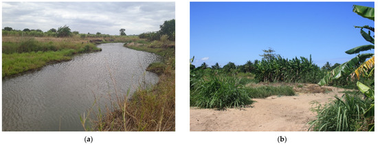 Hydrology_mdpi's tweet photo. 📢📢#EditorChoicePaper
#Flood Mitigation Measure and #Water Storage in East Africa: An Analysis for the Rio Muaguide, Mozambique
by @SaraRrokaj, Benedetta Corti, et, al.
https://t.co/zaBIIGix94
#developingcountries
#flood 
#hazard 
#risk 
#river https://t.co/zTejBTYz8U