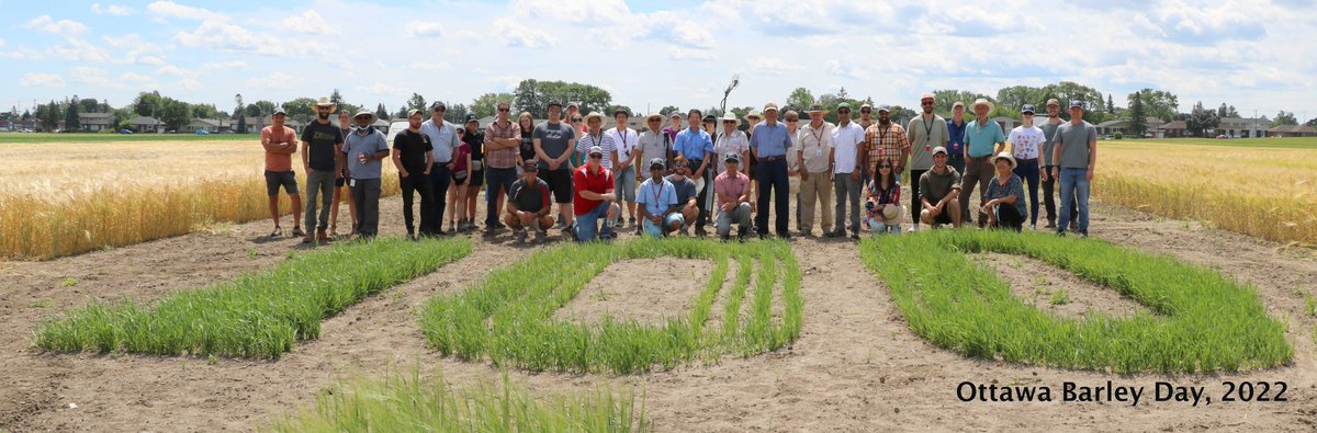 Thank you very much for joining the Ottawa Barley Field Day 2022! <a href="/barley_research/">Canadian Barley Research Coalition</a> <a href="/AAFC_Canada/">AAFC Canada</a> <a href="/SeCan/">SeCan</a>
