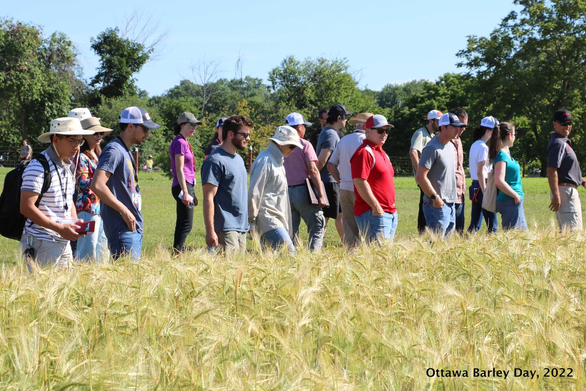 RajaBarley's tweet photo. Thank you very much for joining the Ottawa Barley Field Day 2022! @barley_research @AAFC_Canada @SeCan https://t.co/jDWvDIV9Bk