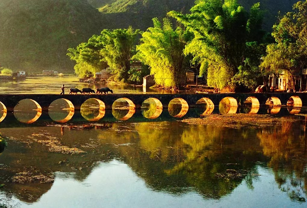 A long #bridge with 15 arches straddles the Goose Spring(鹅泉) in Jingxi, #Baise. Under the #sunset, the long bridge, the bamboo and the spring are all gilded with sunlight. The arches are also connected to its reflections turning into 15 round #moons, like an oil #painting.