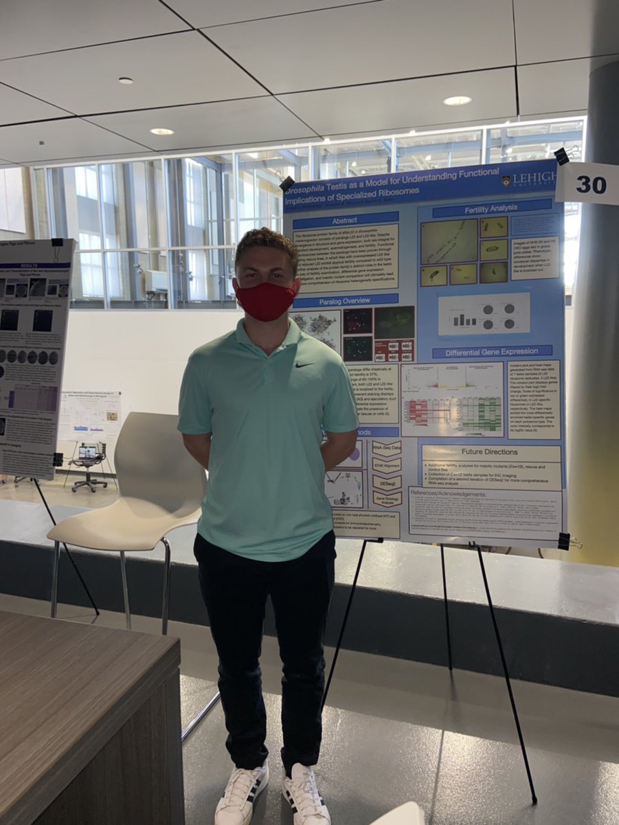 The Ware Lab tweet media