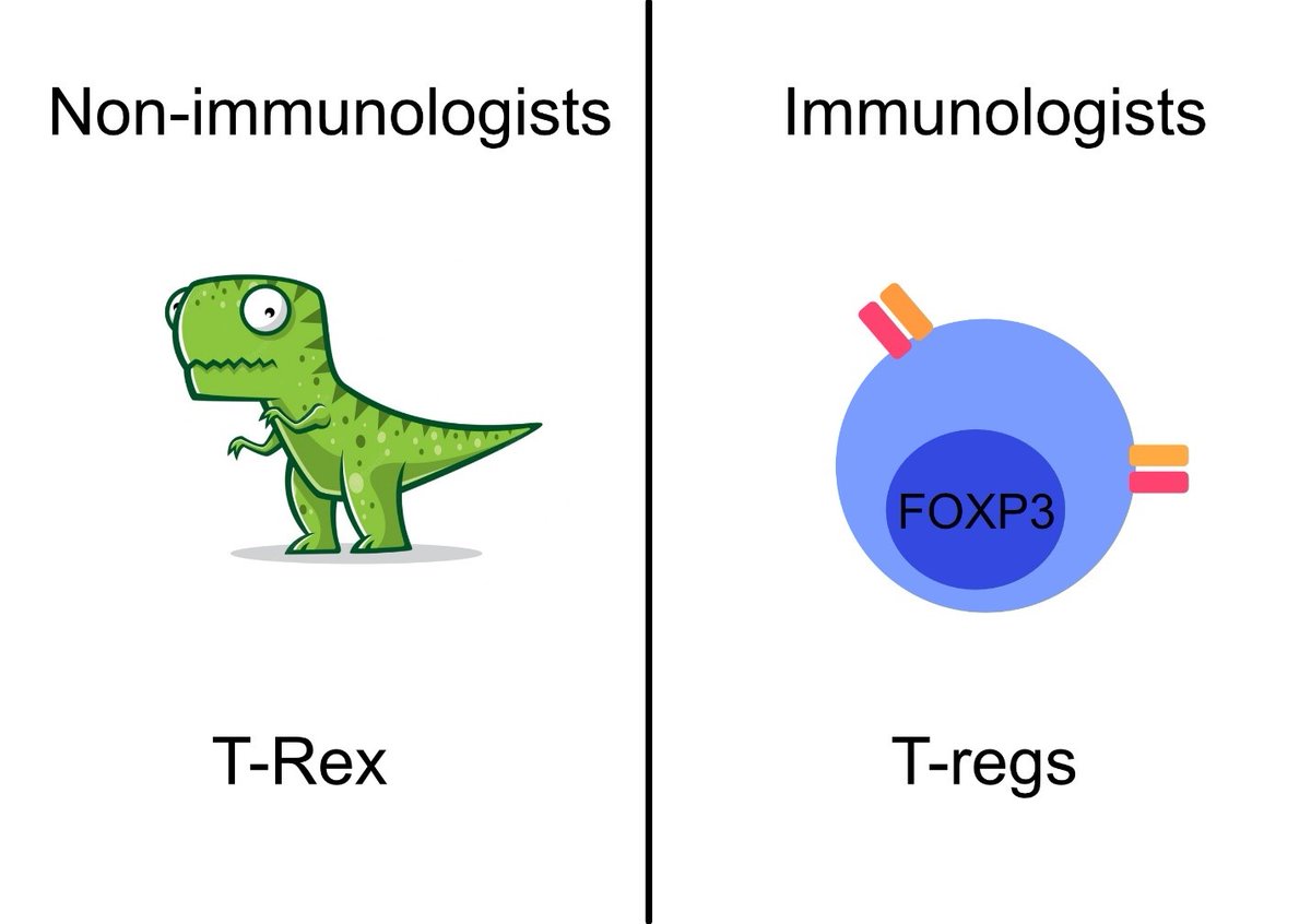 astar_SIgN's tweet photo. Ever got confused by these? Check out the latest #Immunologymusings by @zhang_biyan at https://t.co/6YWCiDgm8m

Happy Friday and have a Treg-ffic weekend ahead! https://t.co/6IcB9NrrQO