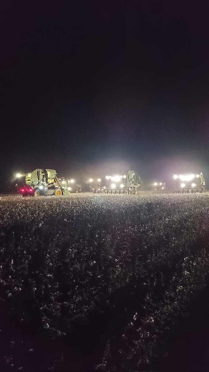 Que saudade eu estava de uma rave