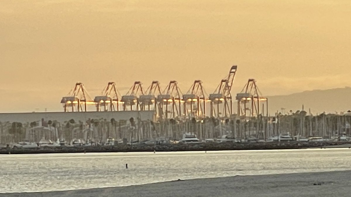 Scott Bateman MBE tweet media