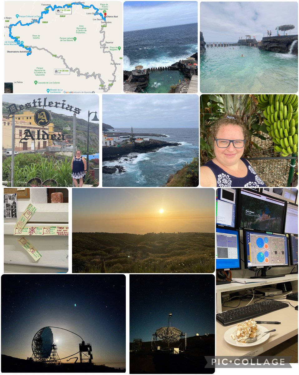 Jelena Striskovic tweet media