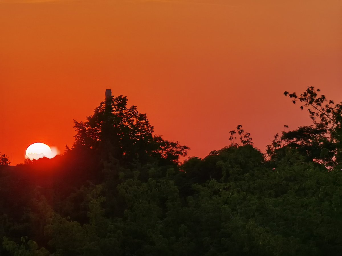 LuMax31er's tweet photo. Guten Morgen, es wird wieder ein heißer Tag heute.
Habt alle einen schönen und vor allem schattigen Freitag.
#Freitag #Sonne #Sonnenaufgang https://t.co/nCu6J60nMR