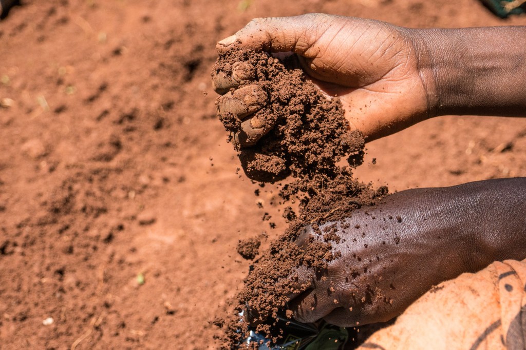 📢 Happening Today | 📅12.30 CEST

What is the potential of Regenerative Agriculture (RA) in contributing to healthy #soils &amp; #foodsecurity?
  
Catch <a href="/lawinowiecki/">Leigh Ann Winowiecki</a> in a webinar to discuss RA approaches in the context of smallholders.
  
ℹ️: bit.ly/3OG1UCo

<a href="/jircas_direct/">国際農研</a>
