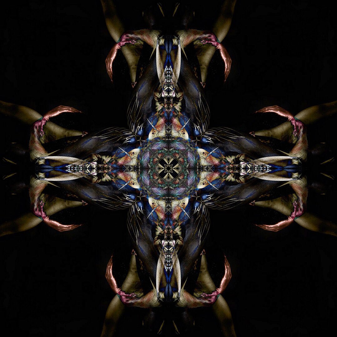 transflexions's tweet photo. https://t.co/Ixm7fBCGbY