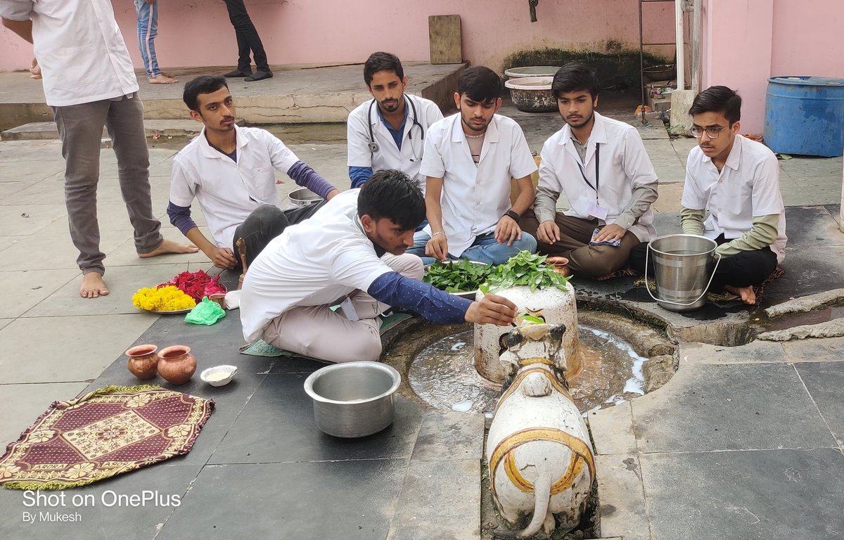 Dr_jAA8's tweet photo. Gujarat veterinary student की stipend बढ़ाने को लेकर चल रही हड़ताल के चौथे दिवस पर Vet Doctors ने महामृत्युंजय मंत्र का जाप करके अपनी मांग पुरी होने की प्रार्थना की 
#indefinite_strike
#Strike_for_18k_stipend
#KU_Vet_Dr_on_strike
#Increase_Guj_Vet_Stiped
@CMOGuj
@RaghavjiPatel https://t.co/o3lscHSVNb