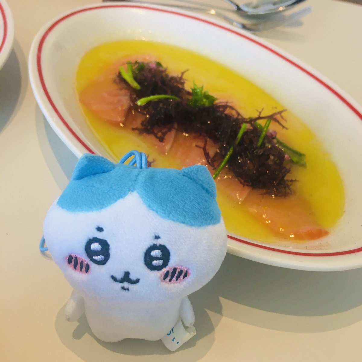 IQM7B5NyHCB4IXI's tweet photo. 静岡県熱海市のアカオローズガーデン🥀のCODAROSSAというカフェに来たよ〜☺️カルパッチョがさっぱりしてて酸味があって美味しかった🤭
#ROSESQUARE
#CODAROSSA https://t.co/Am2nAG2M6G