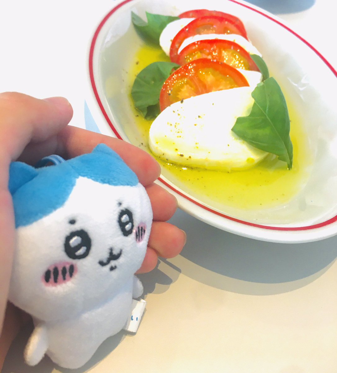 IQM7B5NyHCB4IXI's tweet photo. 静岡県熱海市のアカオローズガーデン🥀のCODAROSSAというカフェに来たよ〜☺️カルパッチョがさっぱりしてて酸味があって美味しかった🤭
#ROSESQUARE
#CODAROSSA https://t.co/Am2nAG2M6G