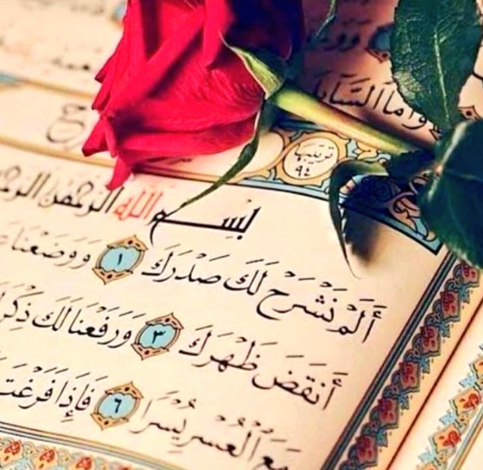 ...

Ruhunuz sukûneti nerede buluyorsa,
Orası sizin Dünya’nızdır.
Zahmetinizi çekene rahmet olun;
Derdinizi nimet bilene çiçek açsın yüreğiniz..!

Hayırlı Sabahlar...

Cumanın Hayrı Üzerimize Olsun...

...