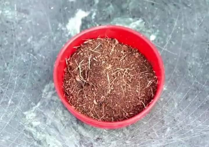 Excel_Dee's tweet photo. MEMBUAT PUPUK NPK ORGANIK DARI SAMPAH DAPUR

YUK SIMAK! SHARE JIKA BERMANFAAT SEMOGA JADI AMAL JARIYAH.

Bahan2:
1. Ampas teh
2. Kulit telur
3. Kulit pisang

Cara membuat:
1. UNSUR N: Ambil ampas teh, jemur di terik matahari selama 2 hari atau sampai kering. https://t.co/wlKlq7287d