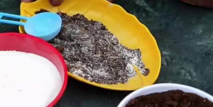 MEMBUAT PUPUK NPK ORGANIK DARI SAMPAH DAPUR

YUK SIMAK! SHARE JIKA BERMANFAAT SEMOGA JADI AMAL JARIYAH.

Bahan2:
1. Ampas teh
2. Kulit telur
3. Kulit pisang

Cara membuat:
1. UNSUR N: Ambil ampas teh, jemur di terik matahari selama 2 hari atau sampai kering.