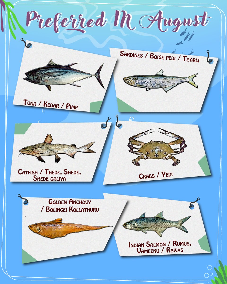 Know Your Fish tweet media