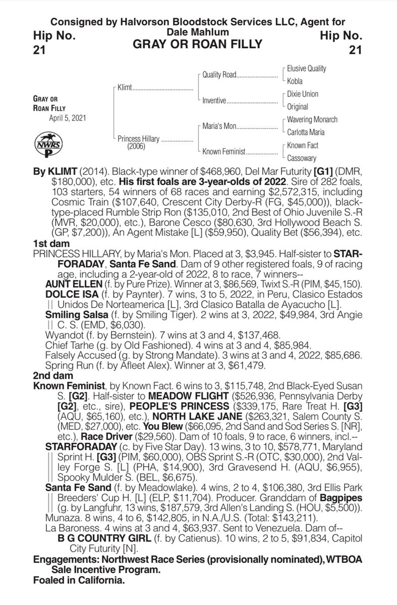 WTBOA's tweet photo. Catalog update - Hip 22 is a half sister to Dolce Isa who won two races in Peru in July https://t.co/gLRyHPy4bz
