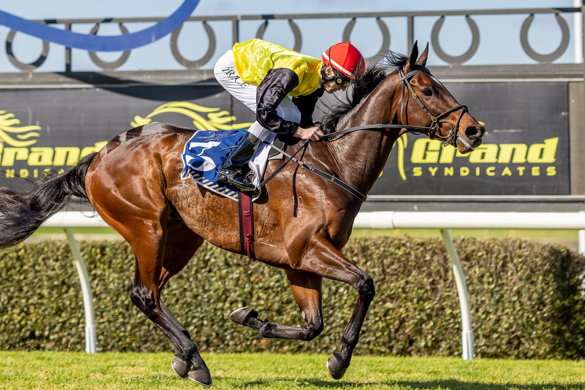 Racing SA on Twitter ".ashton551 will have her first ever Melbourne