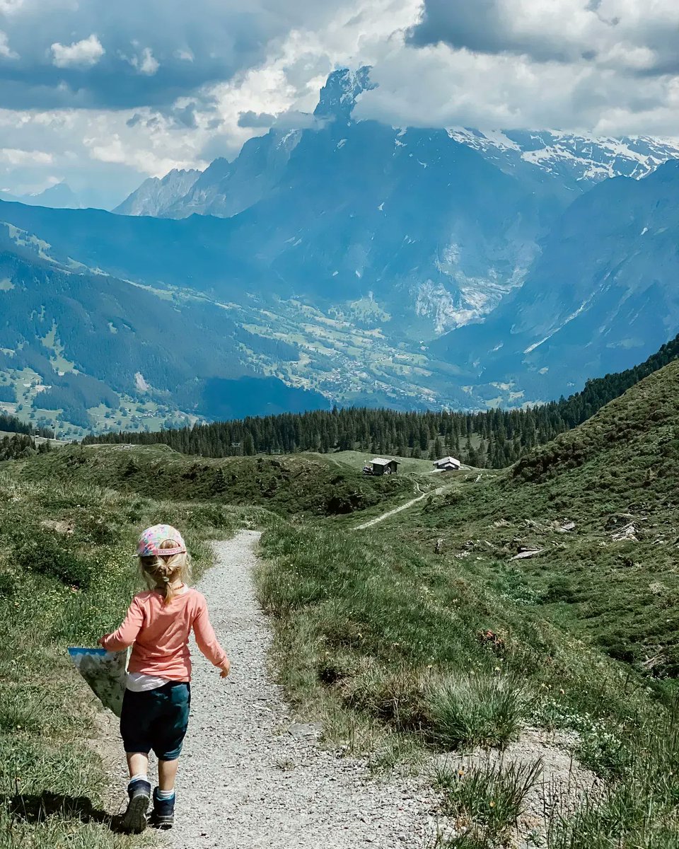 Grindelwald tweet media