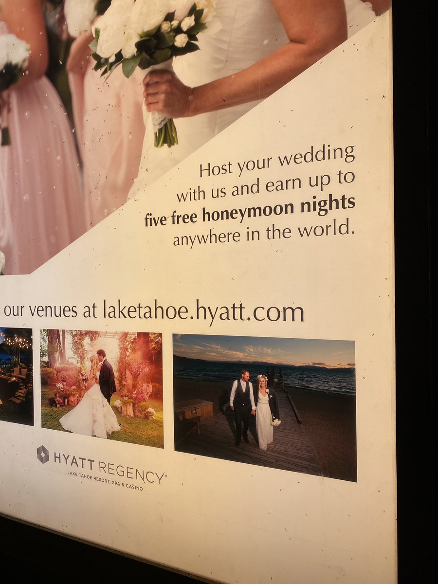 Mike Grady tweet media