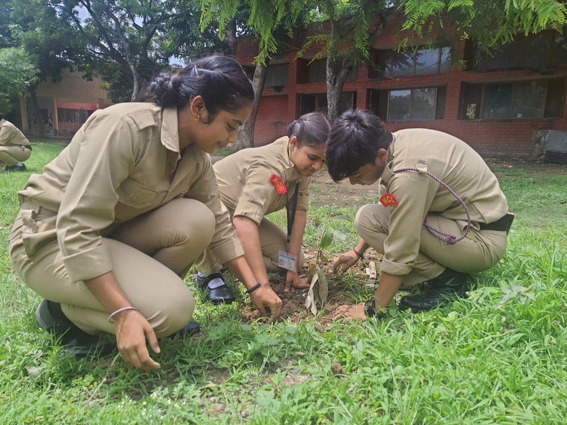 CPhhp's tweet photo. #NCCActivity
#NCCforEnvironment
As part of the ongoing Van Mahotsav Drive, tree plantation was carried out by cadets of 1 Har (G) Bn NCC, Ambala Gp from GSSS Sector 15 Panchkula. 25 Saplings were planted by the cadets who participated in the event. https://t.co/onSQSaM1z4
