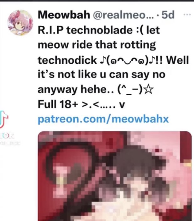 tabikat⁷ ❄️ cameron monaghan enjoyer ♥︎ on X: TW!!Meowbahh I didnt watch  Technoblade but this is so fucked up, that they DREW themselves fucking his  corpse, leave the guy alone you fucking