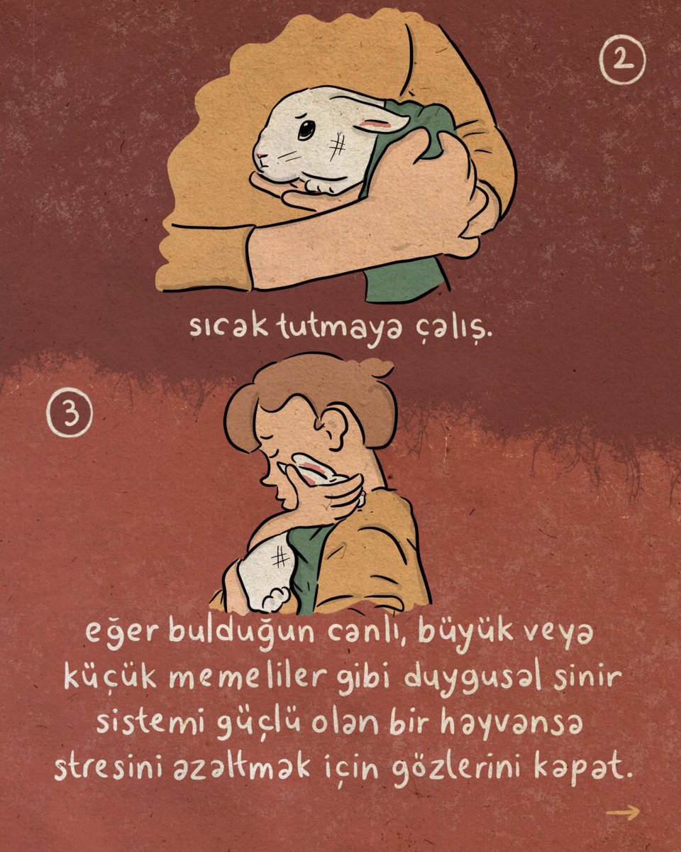 ortamdasatarsn's tweet photo. yangın bölgesinde yaralı bir hayvan görürsek ne yapmalıyız? https://t.co/XrM89L6q5F