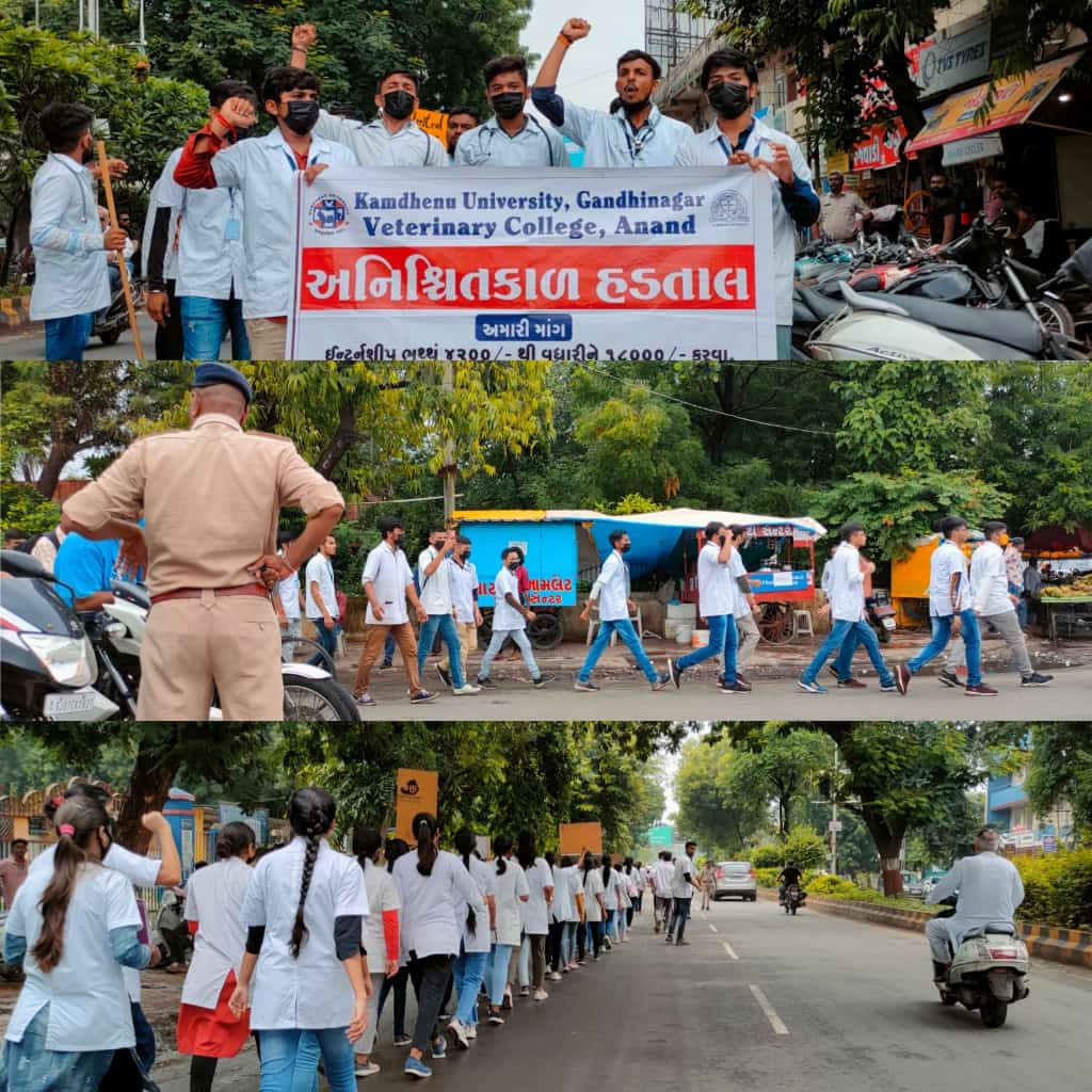trambrv02's tweet photo. Stop insulting us by paying ₹4200 as 'Stipend'
We need Change!!💪

We demand ₹18000 stipend.
#Day5_of_guj_vets_on_strike
#Increase_Guj_Vet_Stipend
#guj_vet_union

@PMOIndia @CMOGuj
@RaghavjiPatel @sanghaviharsh
@PRupala @KanuDesai180
@DivyaBhaskar
@sandeshnews https://t.co/0MvdVdYRGS