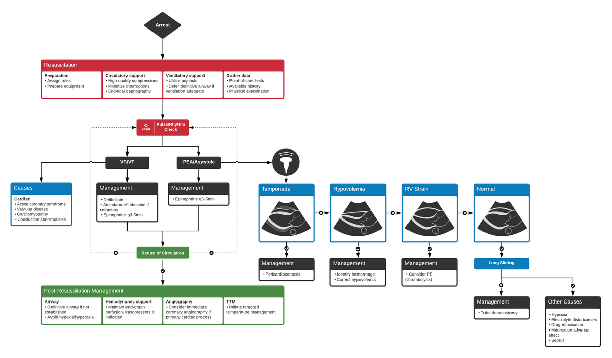 NephroP's tweet photo. Algorithm for the Evaluation and Management of Cardiac Arrest with #POCUS
From: 🔗https://t.co/8BGYWPRsmW
#MedEd #EmergencyMedicine #FOAMcc https://t.co/KRSXxFRuht