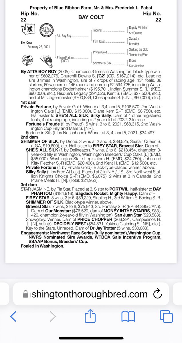 WTBOA's tweet photo. Catalog update - Hip 22s half sister DRIVEWAY was victorious in her first start as a 2yo @EmeraldDowns and is entered back in the Barbara Shinpoch Stakes on Sunday https://t.co/JQH6X6lPqP