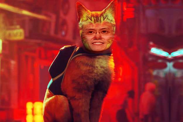 Stray Inu tweet media