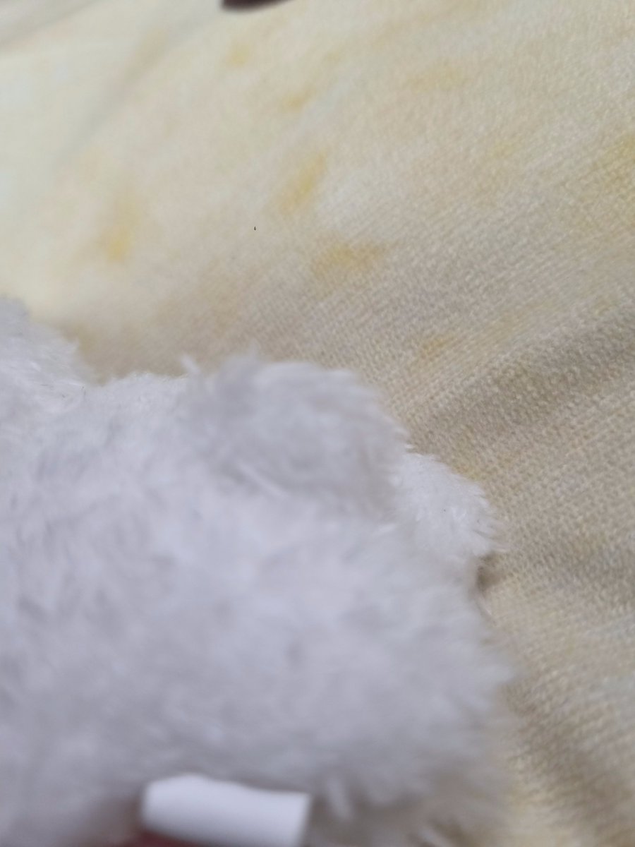 #차차왔차차
<a href="/Small_39_/">차차 (로그아웃🙇🏻)</a> 
아니 진짜 ㄴㅋㅋㅋ
너무 귀여워용 ㅠㅠㅠ
미도링 생일날 딱 도착해부렸음다..😳
와중에 꼬리 동그란거 너무 뽀짝하드라구요 ㅋㅋㅋ
손보다 작아서 진짜 매일매알 델꼬 댕겨요..
같이 온 스티커도 너무 귀여워서
사용 못 할 거 같아요 ㅠㅠ 너무 아까비..
감사합니다❤❤