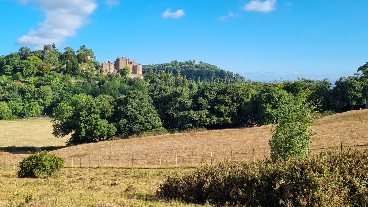 Hannah Merson FCA tweet media