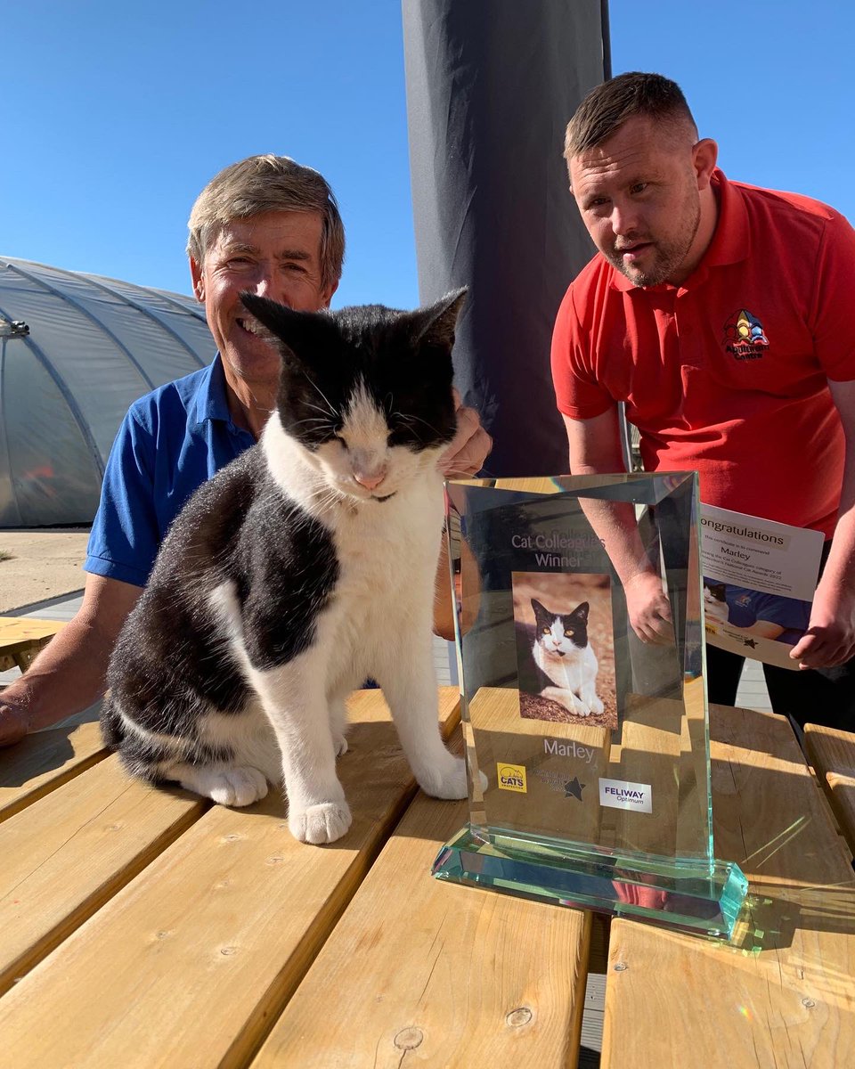 ApuldramCentre's tweet photo. “I would like to thank the judges and you all for your support and votes in the National Cat Awards! I am thrilled to be awarded the honour of being 2022 Cat Colleague of the year! meow to you all!” 🐾 

#NationalCatAwards #catawards #cats #catcolleague #apuldramcentre #catsoffb https://t.co/omIidraEqB