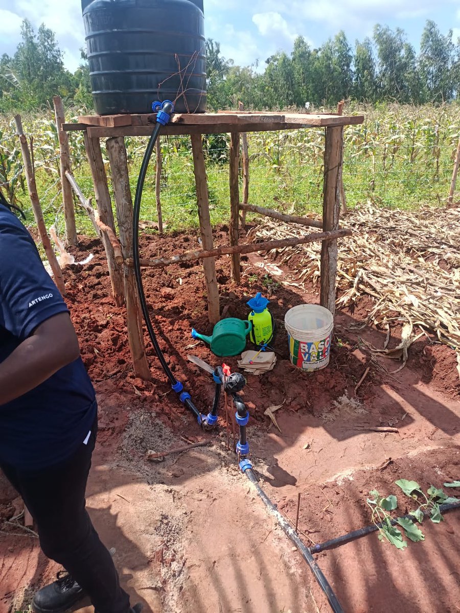 We are visiting Kutoka Ardhini farmers in Lunga Lunga who have received irrigation kits and dam liners through to promote food security.
The irrigation kits have a 300-liter tank and drip lines for 400 square meter plots, while the water pans have a 30,000-liter capacity.