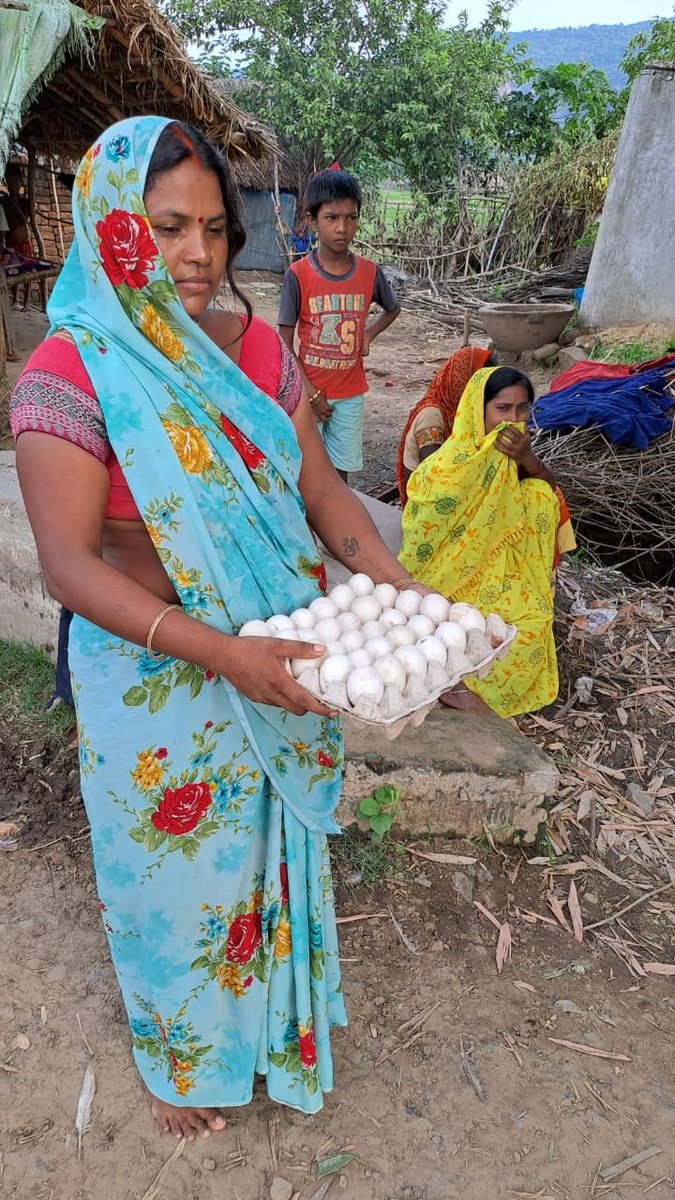 brlps_kaimur's tweet photo. Lilawati Devi, Vindhyanchal VO Jaitpura, Bhagwanpur proudly showing her ducks and eggs. Her farm has 250 ducks and she sells eggs to the local market. #Kaimur #DuckFarm #JeevikaDidi #Livestock https://t.co/EOTknUreZx