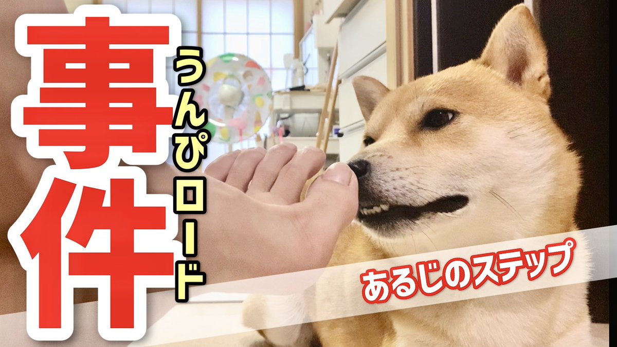 Follow 宵闇 映画や漫画 歴史の再現料理 S Yoiyami Latest Tweets Twitter