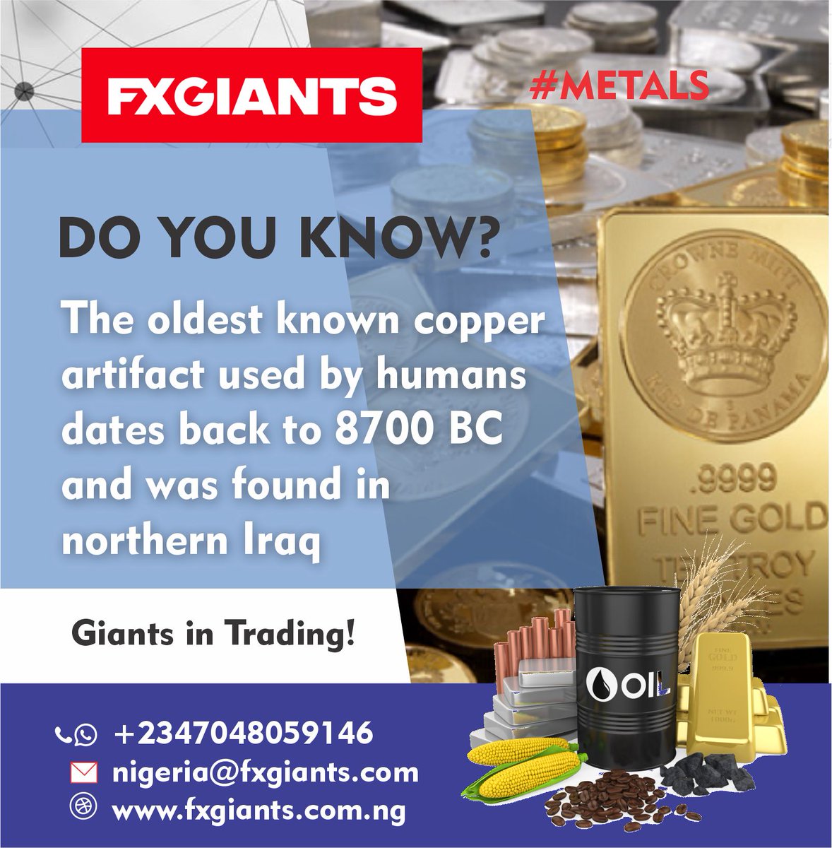 FxgiantsN's tweet photo. Metals Fact.

Giants in Trading!

ASUU #forextrader #Ashawo Raphinha Obidiots MLLE $MATIC #BadDecisions Damini Damilola https://t.co/qYq0A4wooA