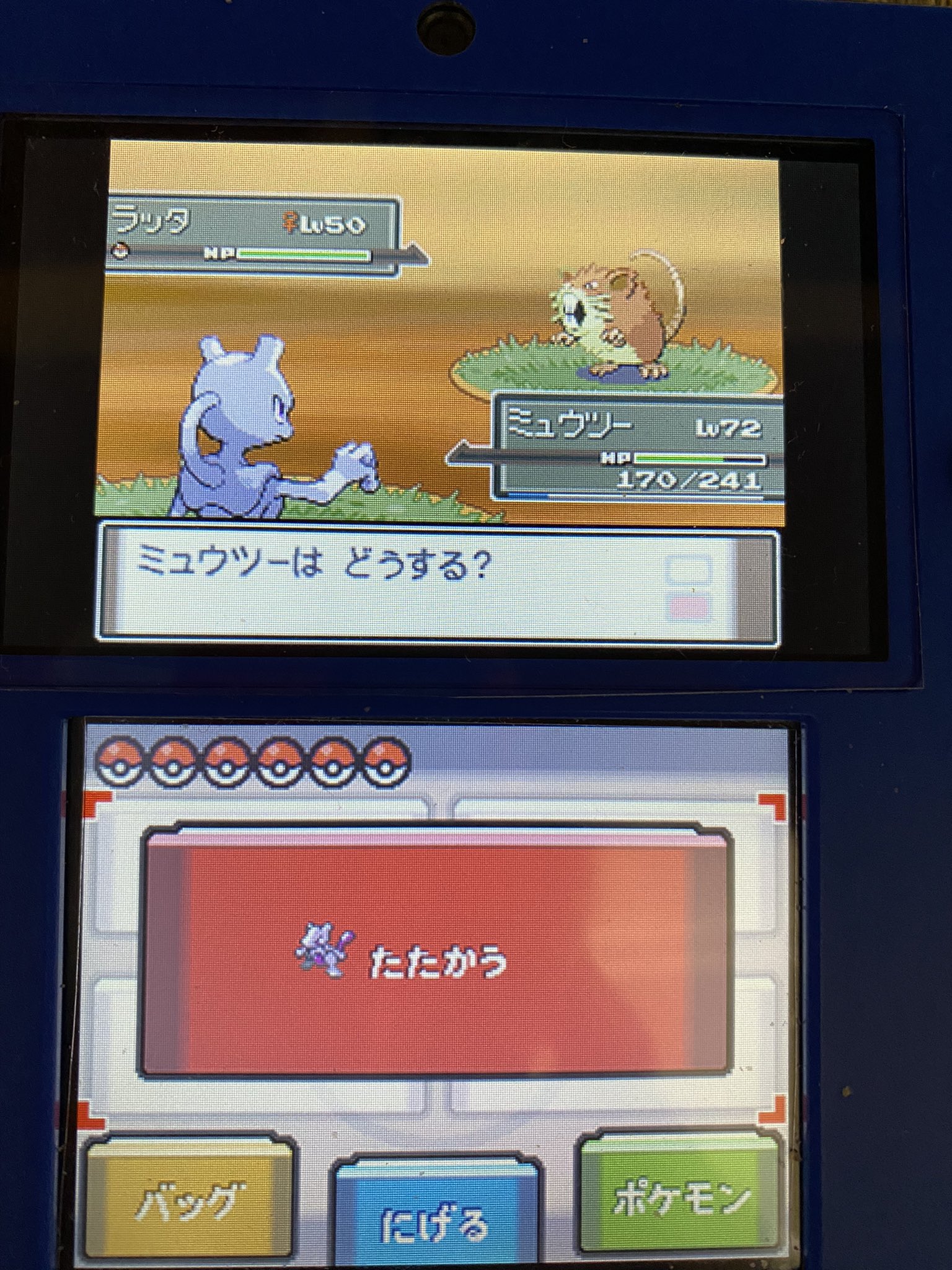 じん よーし まだカントーで持ってなかったラッタの色違いゲット 色が濃くなってますね いつのまにかミュウツーいますけどssからわざわざ捕まえて交換でこっちにきました笑 T Co Mkrqamjg9a Twitter