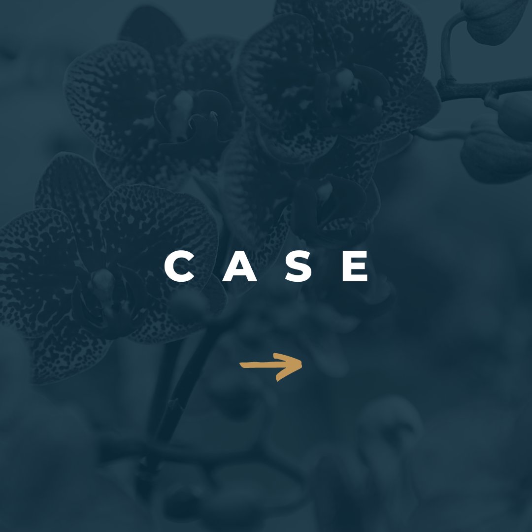 Pullposition's tweet image. Jippie, we hebben weer een gave opdracht afgerond, een nieuwe website voor orchideeënkweker De Vreede Holland 🌸!

Benieuwd naar het hele proces? 👉 Annelene beschrijft het in onze nieuwe case! 

pullposition.nl/case-een-nieuw…