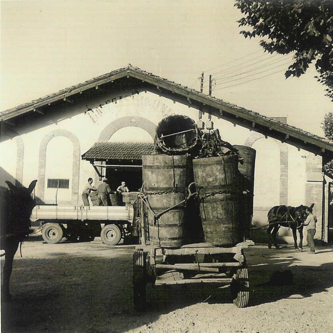 Desde que nacimos todo ha cambiado, hasta la forma transportar nuestros productos 🐴🚗

En #BodegasRiojanas mantenemos #historia y #tradición desde 1890, con avances técnicos y científicos para conseguir producir los mejores #vinos 🍷 

#Larioja #Ciencia #Enologia #Tecnologia
