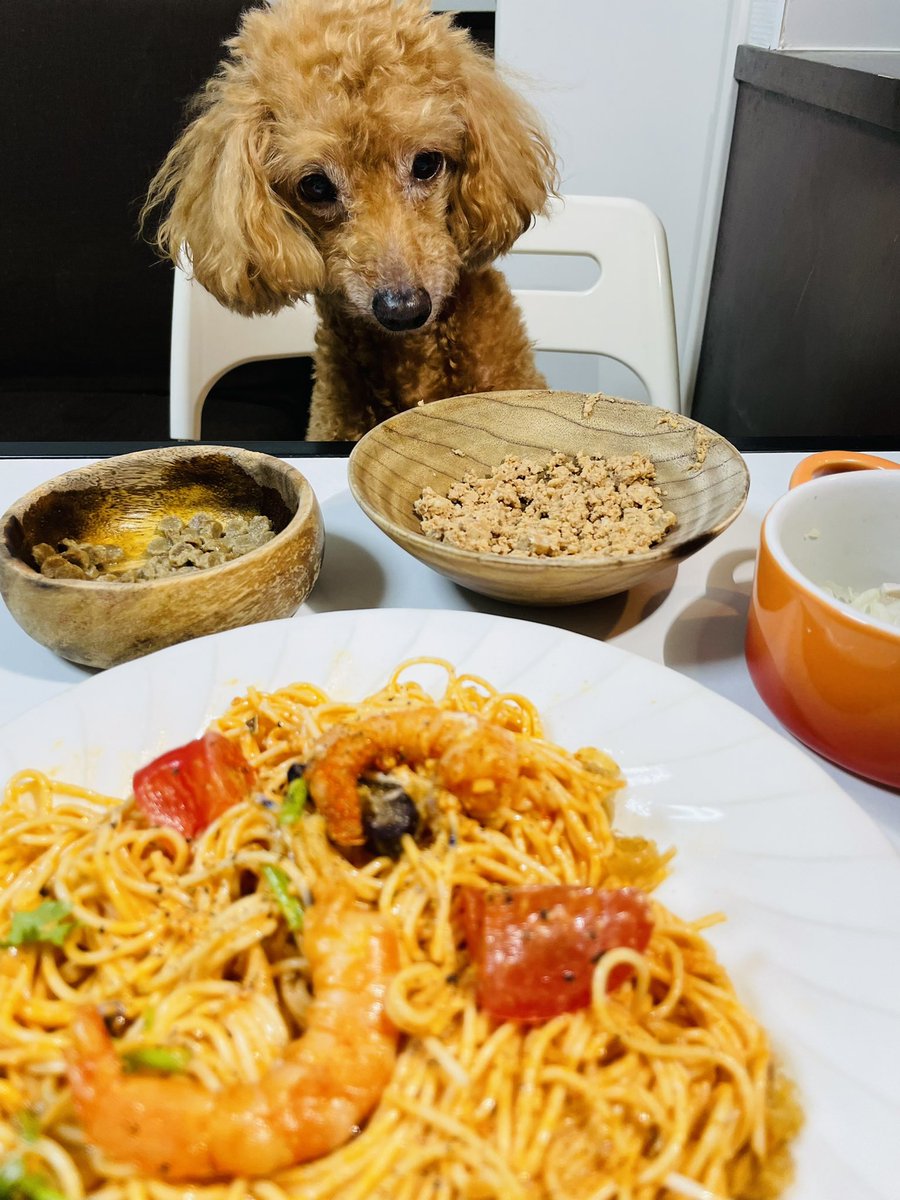 みんなの プードル パスタ 口コミ 評判 食べたいランチ 夜ごはんがきっと見つかる ナウティスイーツ