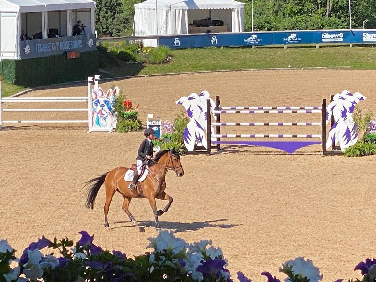Calling all show jumping fans, families and participants! 🏇🏅 After the competition at the Traverse City Horse Shows at Flintfields Horse Park, make plans to see a show at the historic City Opera House! Aug. 10-14 is Tuesdays with Morrie! Tickets at cityoperahouse.org.