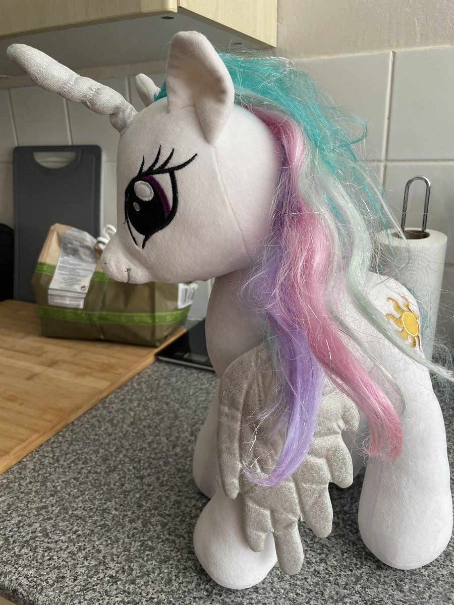 Love a charity shop find! A My Little Pony Build a Bear for under £4 #MLP #BuildABear #MyLittlePony #CharityShopBargains