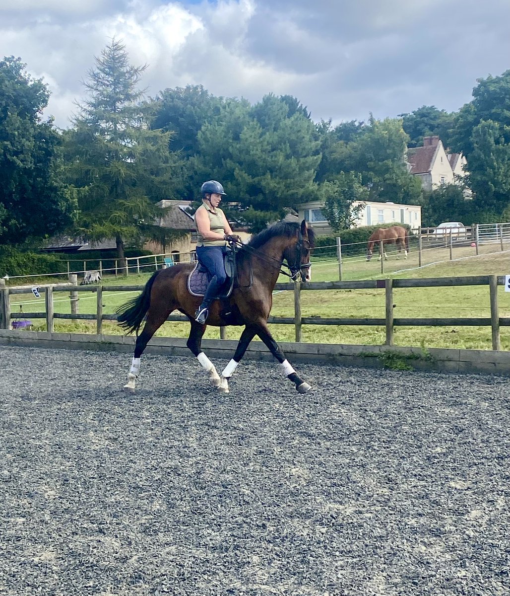 Ponio now back in work after his short holiday 😍 working towards petplan festivals #PSG #AdvancedMedium #horses #dressage #eventing Facebook.com/mshdressage