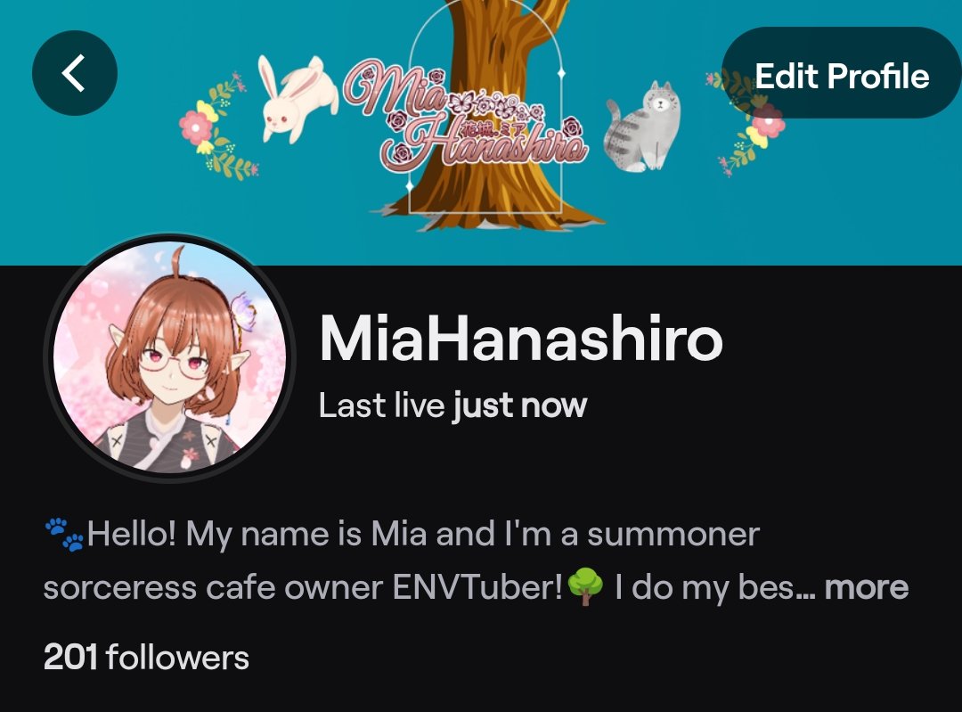 We reached 200 customers on stream last night! I may not be the best streamer, but I'm always grateful to all the visitors I receive. Thank you all so much for your support towards this awkward elf! Thank youuu! 💕💖