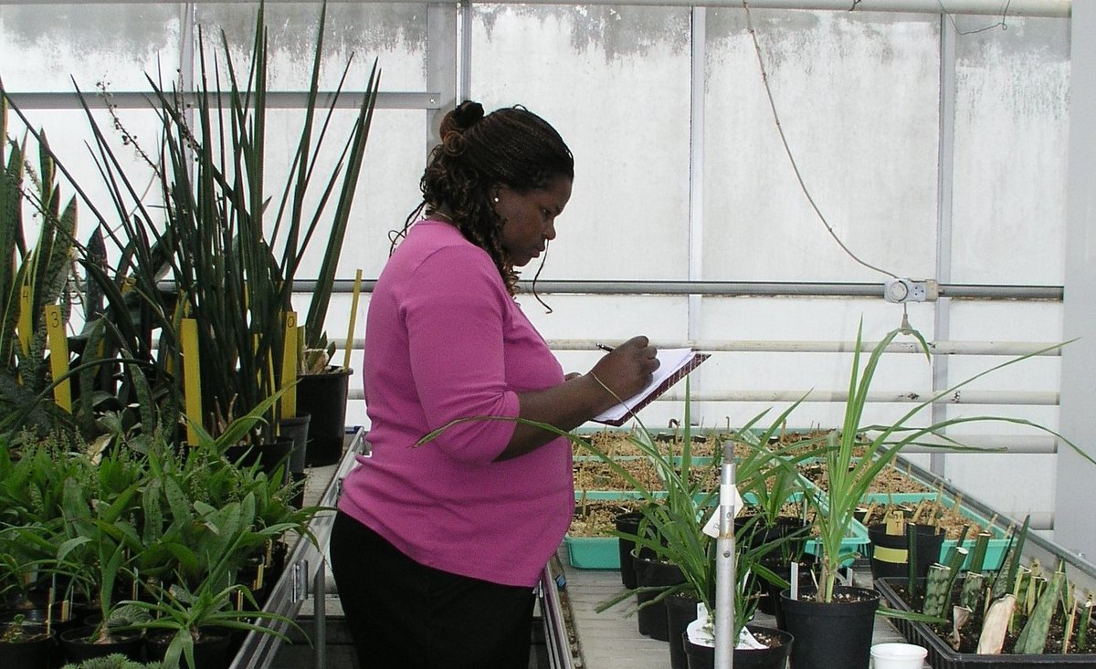 Rati Takawira-Nyenya tweet media