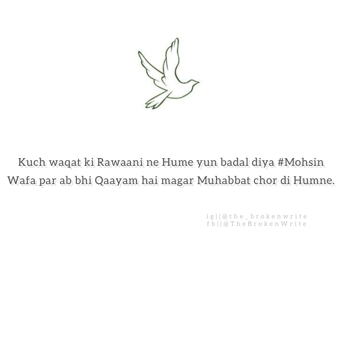 TheBrokenWrite's tweet image. #TheBrokenWrite
#the_brokenwrite
.
.
.
.
.
Admin @FaizanATahir 
.
.
.
.
.
#Indian #Twitterhub #Sad #ghazal #mohsin #poetry #UrduQuotes #Urdu