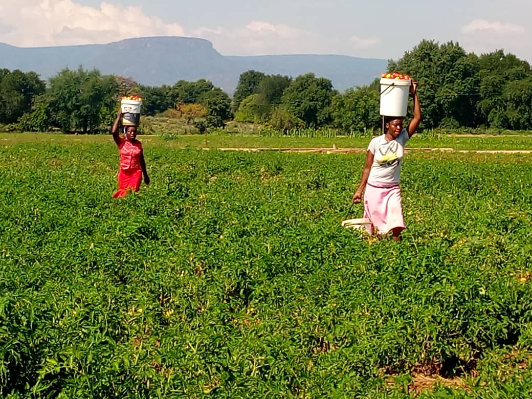 Maureen Hirwa tweet media